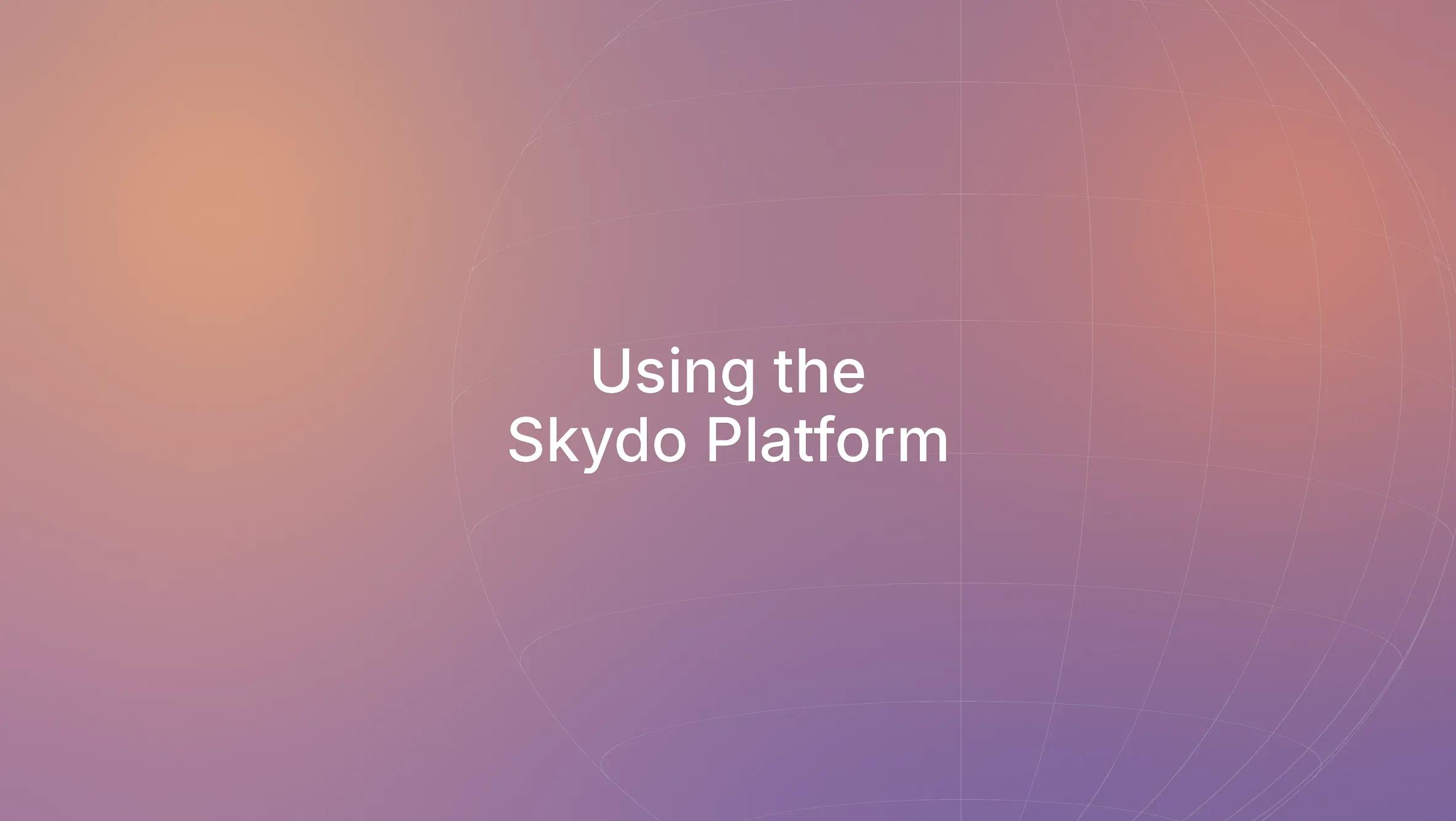 A Quick Guide to Using the Skydo Platform